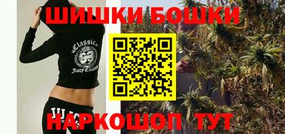 МДПВ Кингисепп