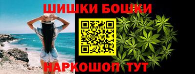 МДПВ Кингисепп